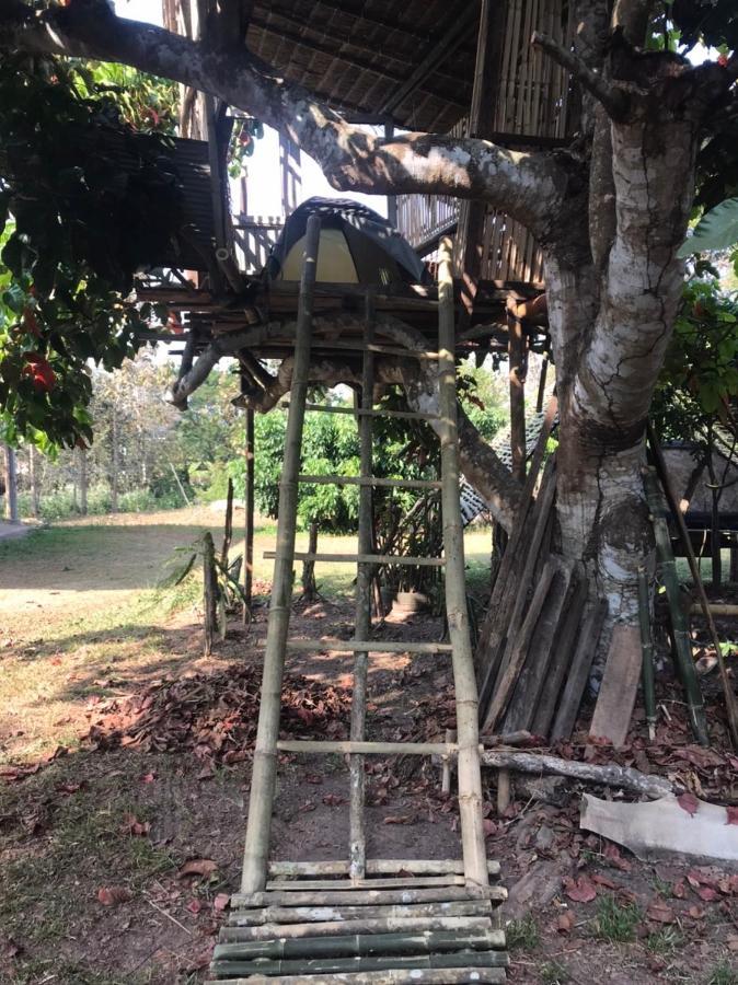 Amando_Tent Hotel Phayao Exterior photo