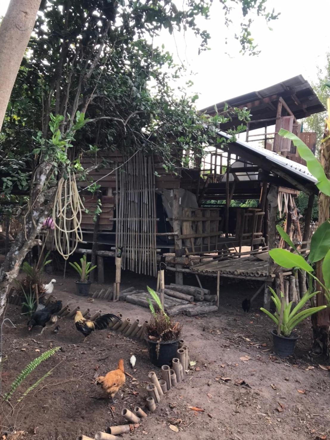 Amando_Tent Hotel Phayao Exterior photo