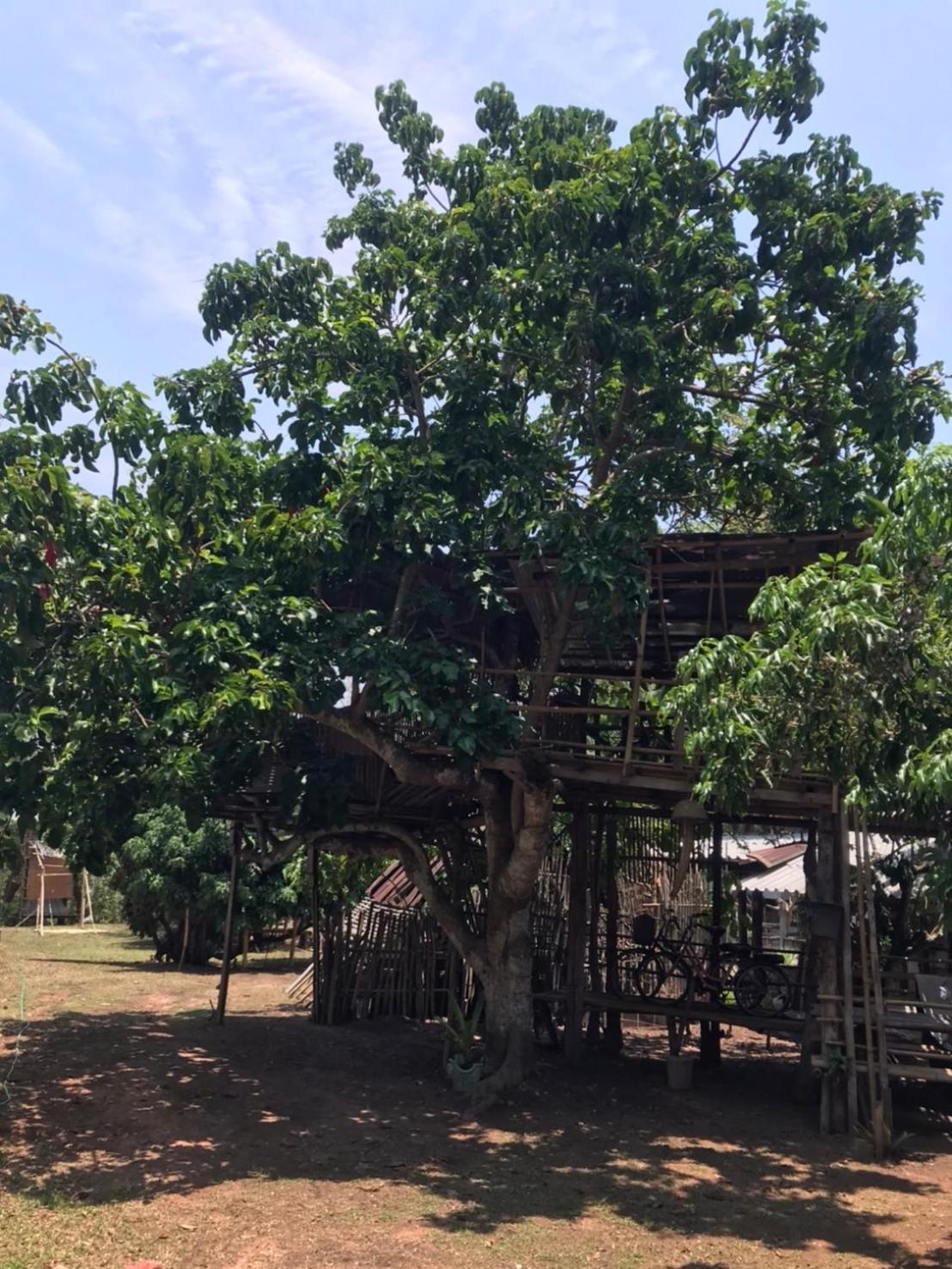 Amando_Tent Hotel Phayao Exterior photo